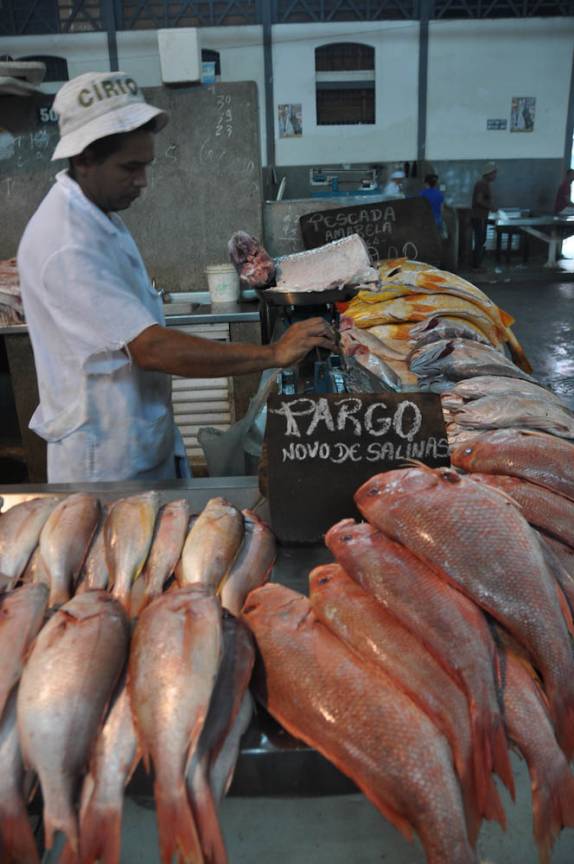 Venda de peixe no Mercado Ver-o-Peso, em Belém - PA